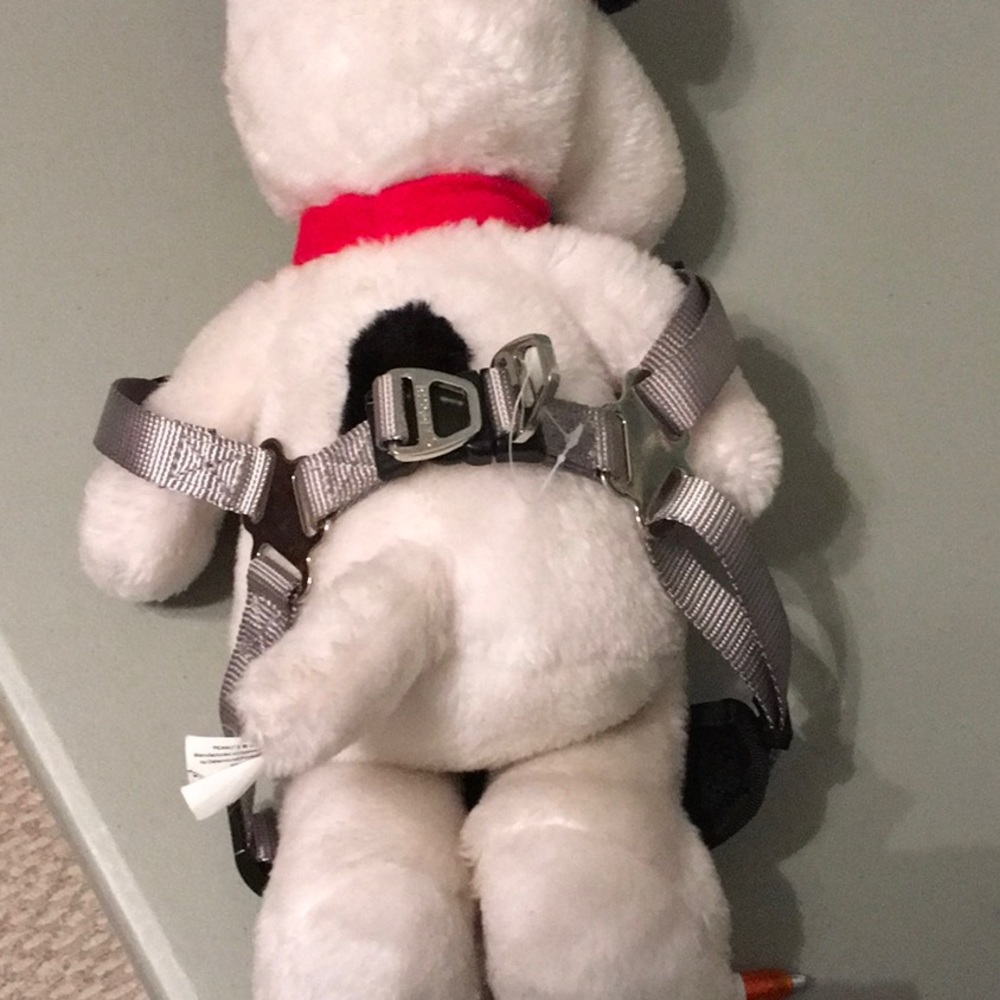 Bing pet dog harness - Picture 3 of 3